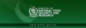 Pakistan to Supply Wheat to Khyber Pakhtunkhwa via PASSCO