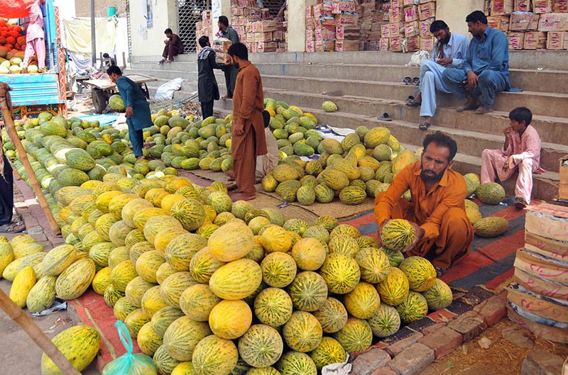 Traders Showcase Seasonal Melons at Multan Fruit Market