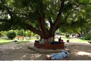 Residents Seek Relief Under Trees Amid Sargodha Heatwave