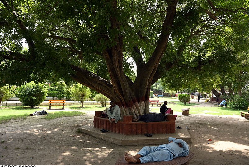 Residents Seek Relief Under Trees Amid Sargodha Heatwave