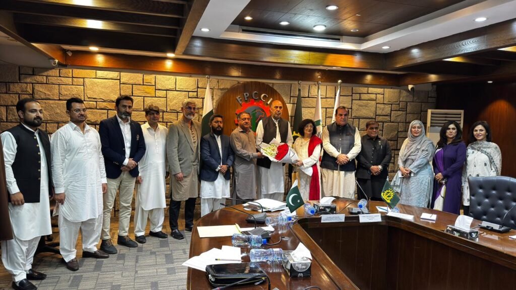 FPCCI Develops Strategy to Boost Trade and Investment