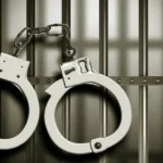 Faisalabad Police Arrest 20 Proclaimed Offenders in Coordinated Crackdown