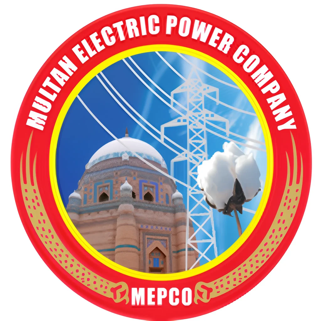 MEPCO Lineman Electrocuted During Maintenance in Dera Ghazi Khan