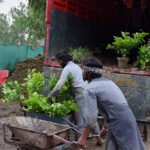 Monsoon Brings Fresh Consignments of Ornamental Plants to Islamabad Nursery