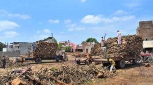Rising Demand for Firewood in Multan Amid Fuel Shortages