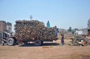 Labourers Load Timber Amid Rising Demand at Multan Wood Market