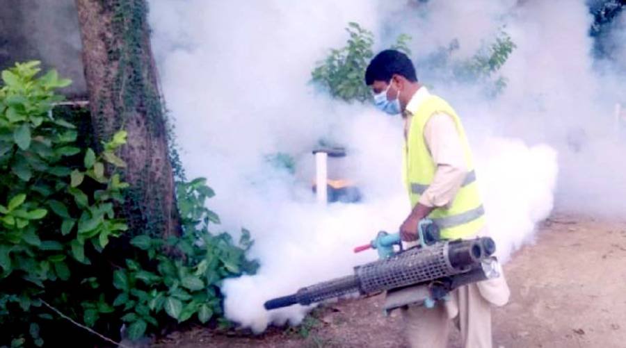 Dengue Control Campaign Leads to 20 Arrests, Offices Sealed in Islamabad