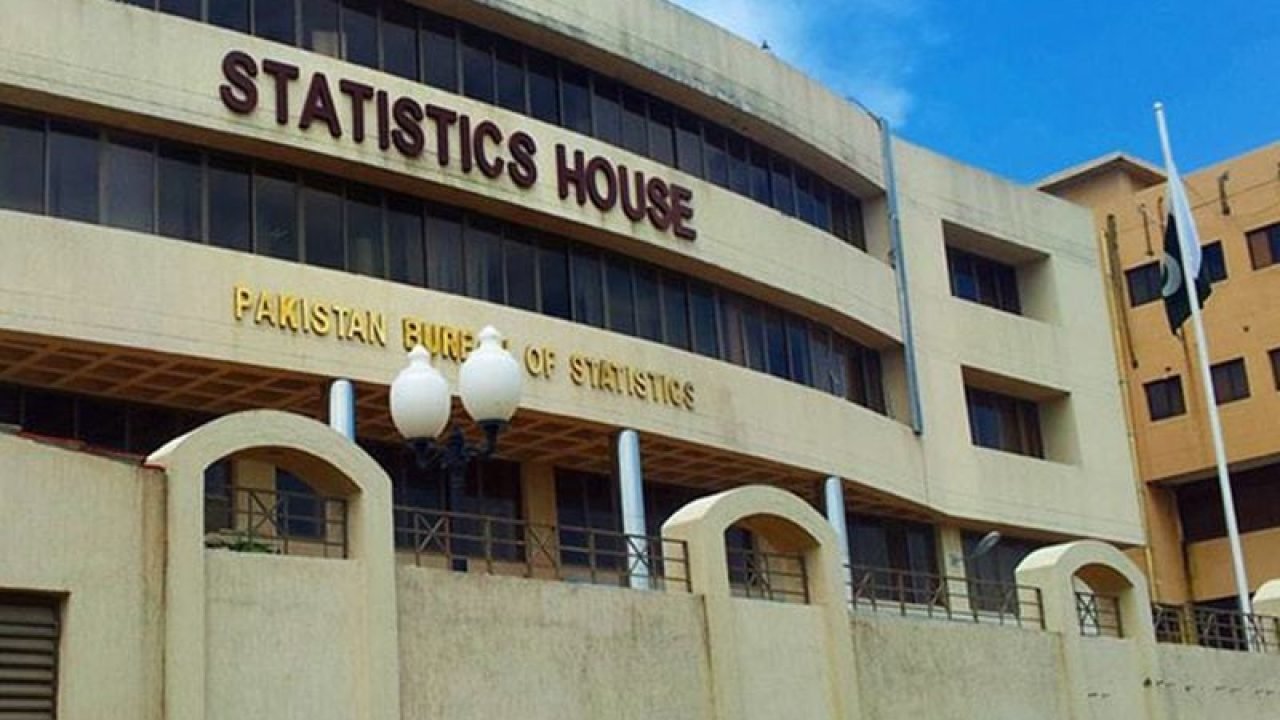 Pakistan’s Services Exports Surge by 17.38% in 11 Months of FY 2026