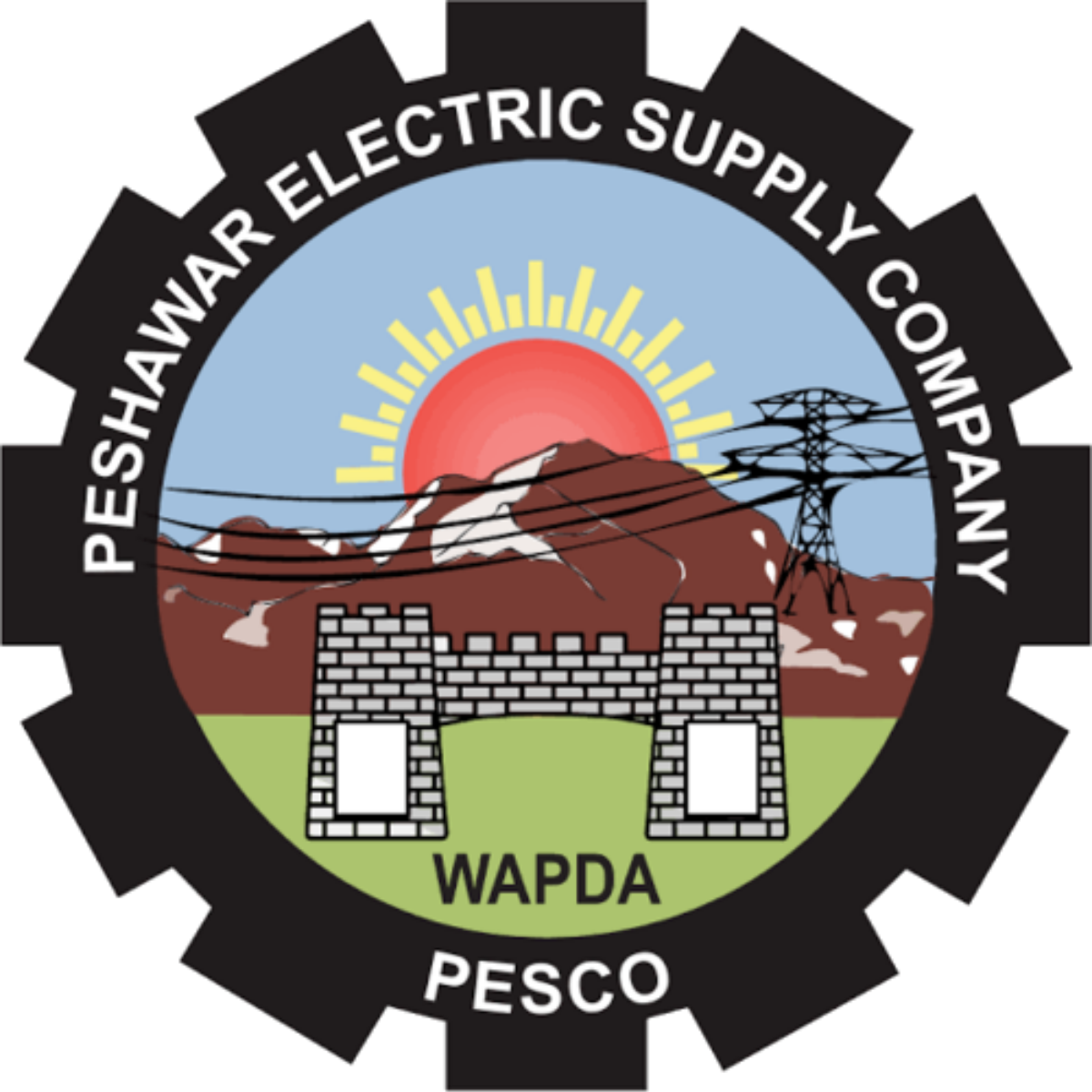 PESCO Targets Electricity Theft, Removes 45 Illegal Connections in Dera Ismail Khan