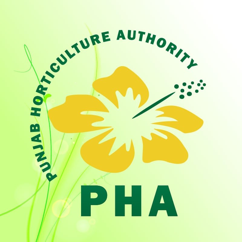 Zahid Parvez Takes Over as Lahore PHA Managing Director