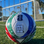 World Cup Spurs Debate on Future of Global Climate Governance