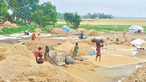 Bangladesh Aims to Boost Food Grain Storage to 34 Lakh Metric Tons
