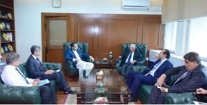 Government Ensures Fertilizer Availability and Price Stability: Rana Tanveer