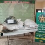 Drug Supplier Sentenced to 10 Years Imprisonment in Rawalpindi