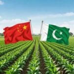 Pak-China Partnership Enhances Cotton Research And Mechanization Efforts