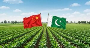 Pak-China Partnership Enhances Cotton Research And Mechanization Efforts