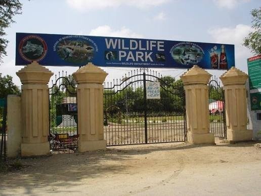 DI Khan Wildlife Park Expansion Aims to Boost Eco-Tourism and Conservation
