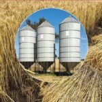 Punjab Launches Rs20 Billion Plan to Expand Wheat Storage