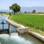 KP Initiates Irrigation Project for 10,930 Acres Near Swabi