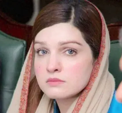 Mushaal Mullick Reiterates Offer to Mediate Azad Jammu and Kashmir Crisis