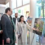 DEMP Celebrates Pakistan’s 78th Independence Day with Art Competition