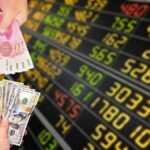 NBP Releases Updated Exchange Rates for Major Currencies