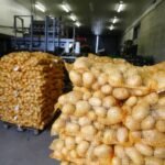 Pakistani Potatoes Gain Access to 36 International Markets
