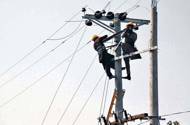 WAPDA Staff Undertake Major Electric Wire Installation in Bahawalpur
