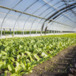Modern Farming Techniques Crucial for Climate Resilience in Agriculture