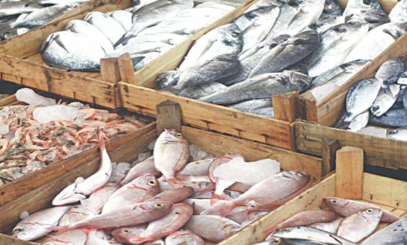 Pakistan’s Fish, Meat Exports Rise in Early FY27